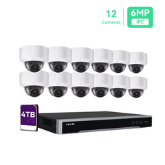 16 Channel 4K PoE Security Camera System 16CH 4K NVR and 12 Outdoor 5MP Dome PoE IP Cameras with 4TB HDD (KIT1612D5)