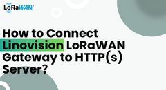 How to Connect Linovision LoRaWAN Gateway to HTTP(s) Server？