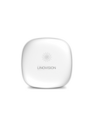 LoRaWAN Wireless Mini Spot Leak Detection Sensor