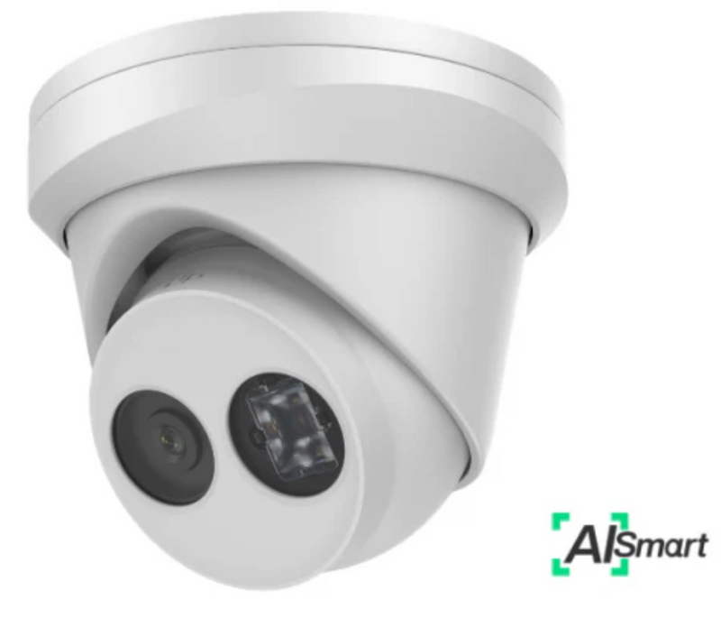 4MP AI Smart Eyeball Network Camera with Human/Vehicle Filtering