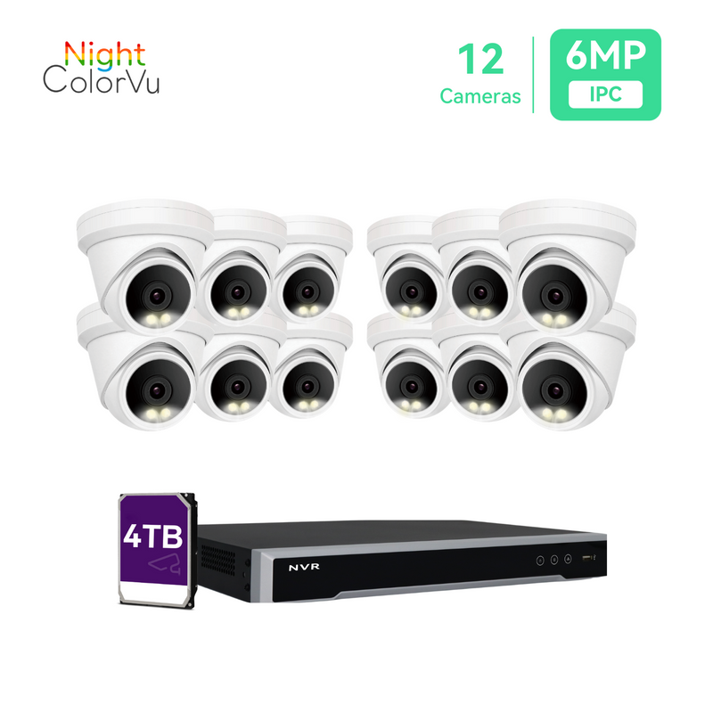 16 路 PoE IP 摄像头系统，配备 (12) 个 6MP 夜间 ColorVu 转塔摄像头、4TB 硬盘