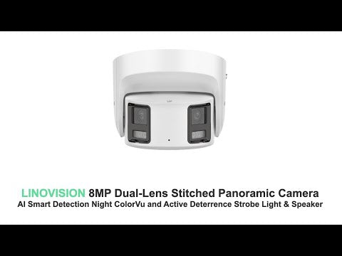 8MP Dual-Lens Stitched Panoramic Camera